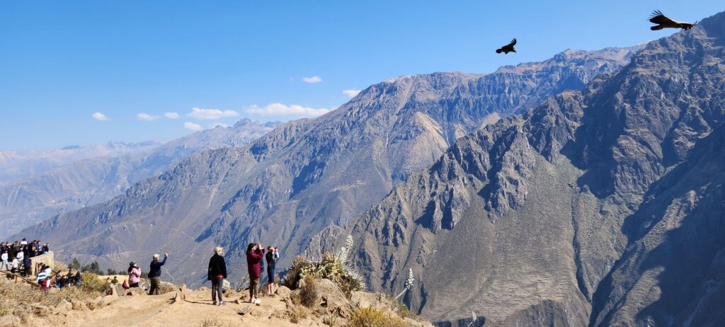 Em um dos pontos mais altos dos Andes peruanos, turistas fotografam o voo rasante de condores andinos, uma das maiores aves do mundo. A imagem faz referência ao retorno à busca por aquilo que os clientes realmente valorizam, mais do que aquilo que nós acreditamos ser de valor.